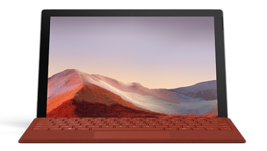 嫩江清洁和维护 Surface